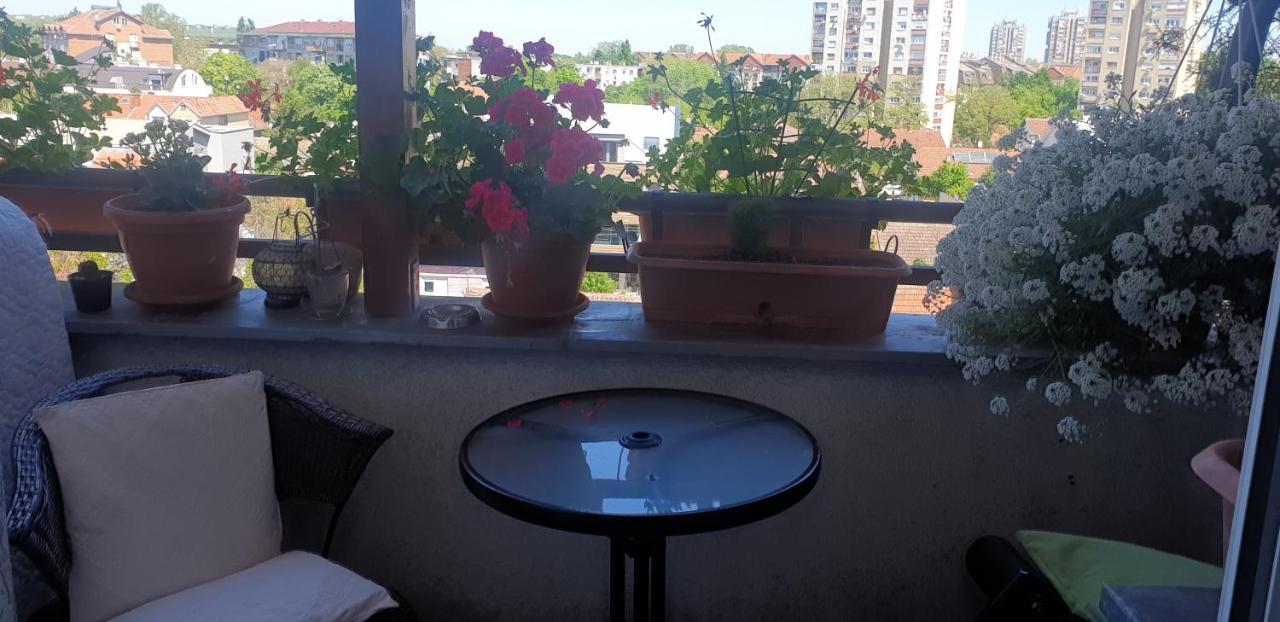 Apartmani Emerald Dream 노비사드 외부 사진