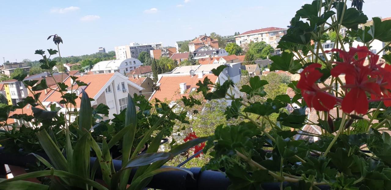 Apartmani Emerald Dream 노비사드 외부 사진